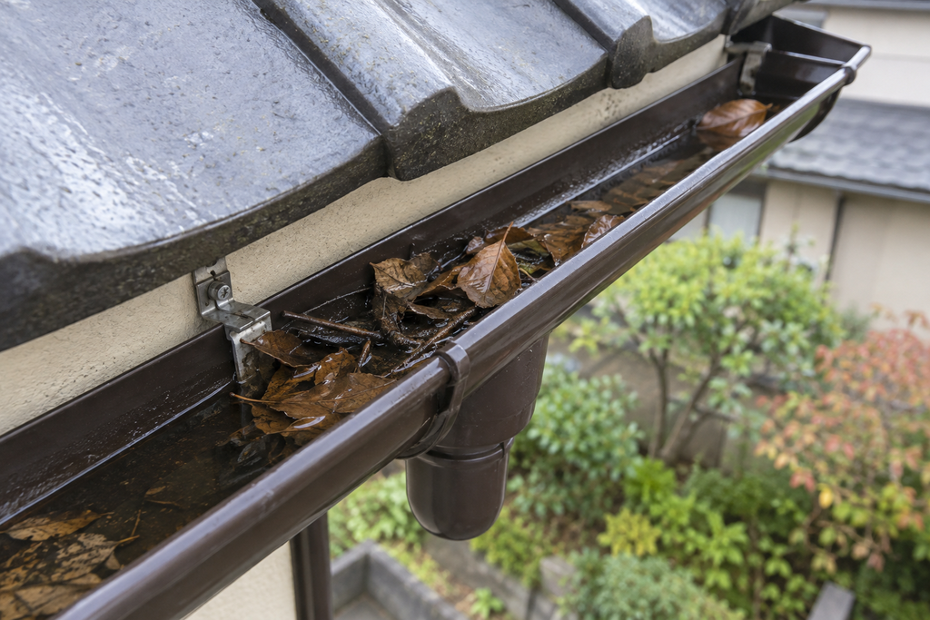 雨樋ゴミつまり